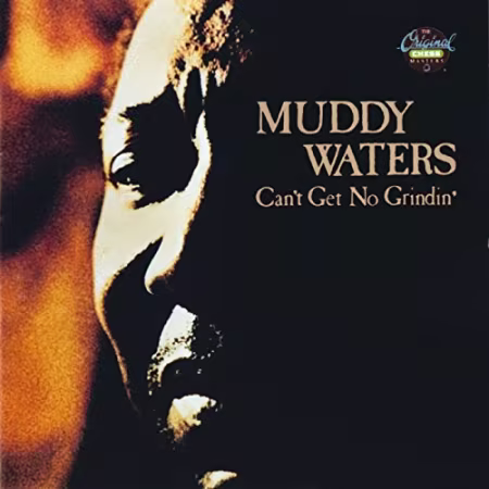 Muddy Waters - Can't Get No Grindin' (1973)[FLAC/MP3]