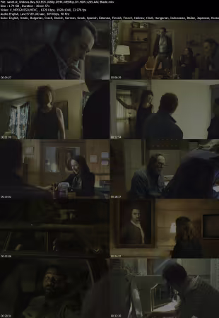 Widows Bay S01E05 1080p DS4K WEBRip DV HDR x265 AAC-Blade