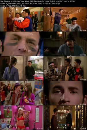 Not Another Teen Movie 2001 Directors Cut 1080p BluRay x264-OFT