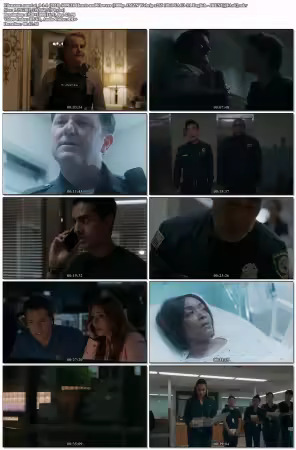 9-1-1 S09E18 Hearts and Flowers 1080p AMZN Webrip x265 10bit EAC3 5.1-JBENT