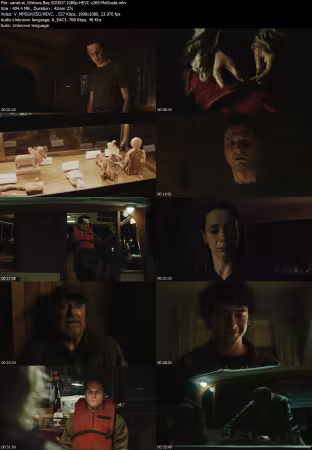 Widows Bay S01E07 1080p HEVC x265-MeGusta