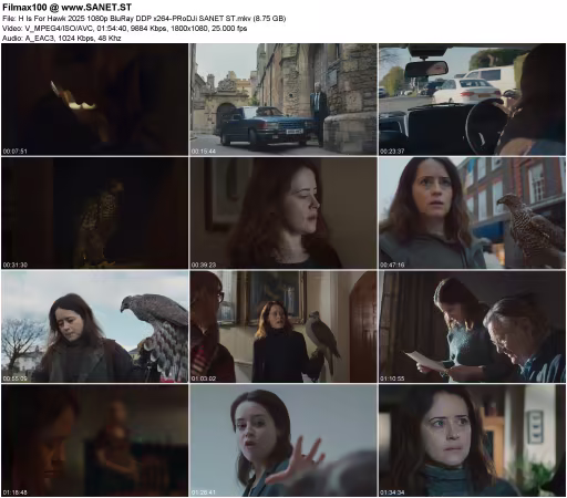H Is For Hawk 2025 1080p BluRay DDP x264-PRoDJi