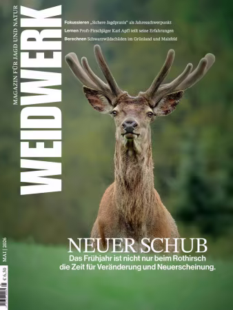 WEIDWERK - Nr.05 2026