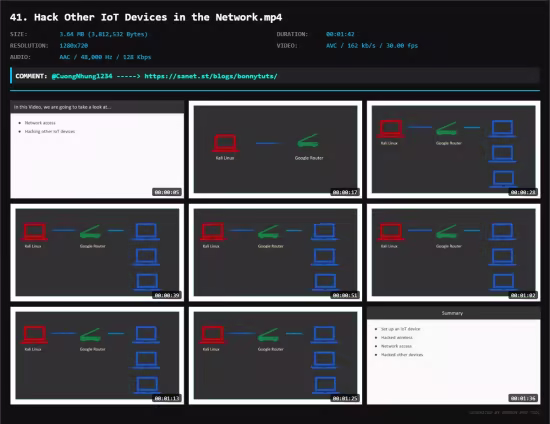 Securing IoT: From Security to Practical Pentesting on IoT