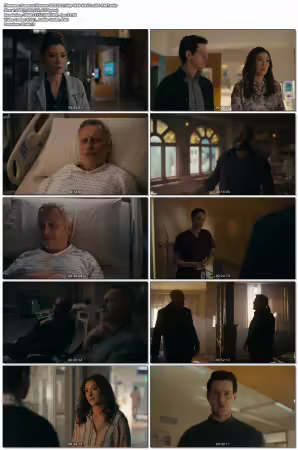 Watson S02E20 2160p WEB HEVC x265-RMT