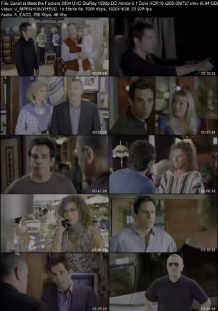 Meet the Fockers 2004 UHD BluRay 1080p DD Atmos 5.1 DoVi HDR10 x265-SM737