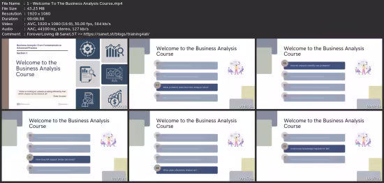 Business Analysis: From Fundamentals To Advanced Practice