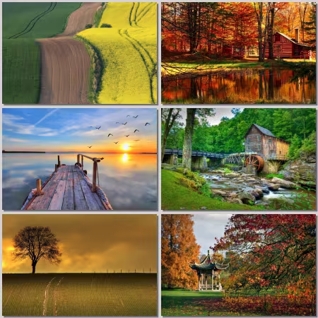 Landscape Part 220