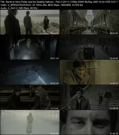 Harry Potter and the Deathly Hallows Part 2 2011 1080p DS4K BluRay x265 10-bit HDR AAC 7.1 WeSLeY