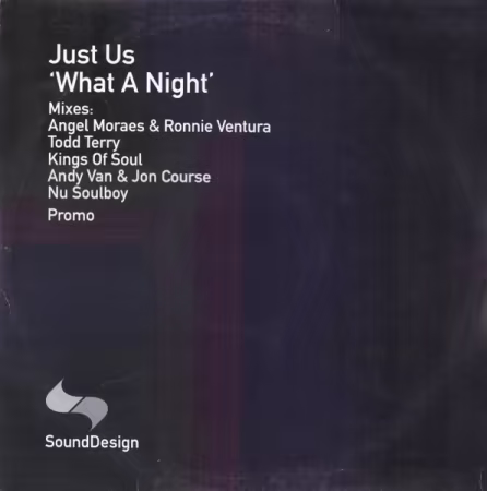 Just Us - What A Night (Vinyl / Promo) (2001) (FLAC)