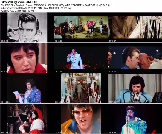 EPiC Elvis Presley in Concert 2025 DOC SUBFRENCH 1080p WEB x264-SUPPLY