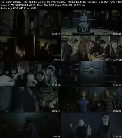Harry Potter and the Order of the Phoenix 2007 1080p DS4K BluRay x265 10-bit HDR AAC 7.1 WeSLeY