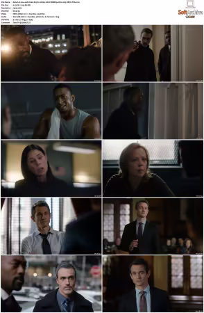 Law and Order S25 1080p 10bit WEBRip 6CH x265 HEVC-PSA