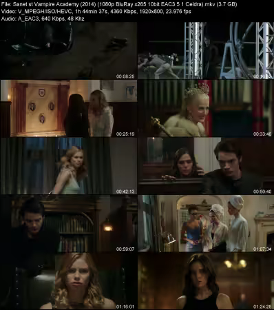 Vampire Academy 2014 1080p BluRay x265 10bit EAC3 5.1 Celdra