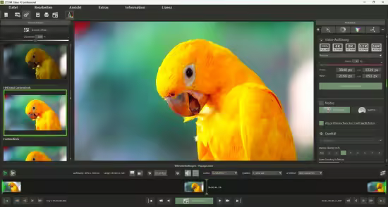 Franzis ZOOM Video #3 Professional 3.35.04374 Multilingual