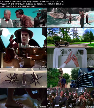 The Aviator 2004 1080p BluRay x265-YAWNTiC