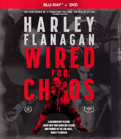 Harley Flanagan Wired for Chaos 2024 1080p BluRay x264-OFT