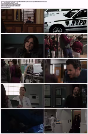 Law and Order SVU S27E21 1080p 10bit WEBRip 6CH x265 HEVC-PSA