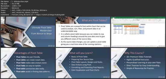 The Ultimate Microsoft Excel Pivot Table MasterClass