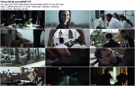 Agent Zero 2025 1080p BluRay x264-GeneMige