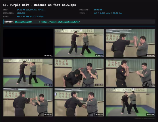 Kajukenbo Belt Promotion - White Belt to Brown Belt
