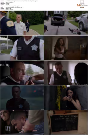 Chicago P D S13 1080p WEBRip 10Bit DDP5.1 HEVC-d3g
