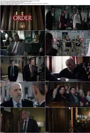 Law and Order S25E21 Liberty 1080p AMZN WEB-DL DDP5 1 H 264-NTb