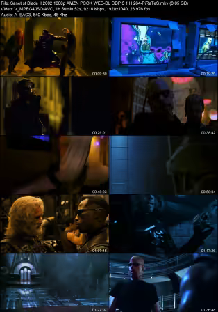 Blade II 2002 1080p AMZN PCOK WEB-DL DDP 5.1 H264-PiRaTeS