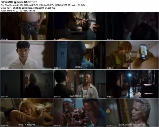 The Remnant 2024 2160p WEB-DL H265 AAC-PTerWEB