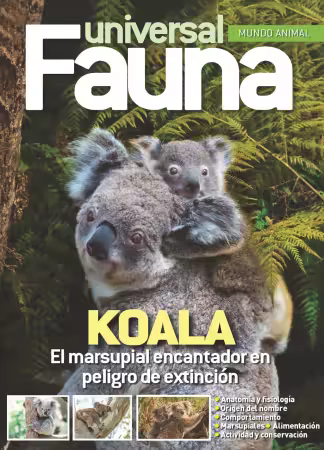 Fauna Universal - Fasciculo 4 2026