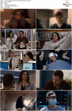 Chicago Med S11 1080p WEBRip 10Bit DDP5.1 HEVC-d3g