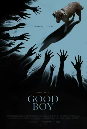 Good Boy 2025 1080p HULU WEB-DL DDP 5.1 H264-PiRaTeS