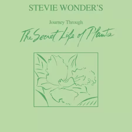 Stevie Wonder - Journey Through The Secret Life of Plants (2014) CD-Rip
