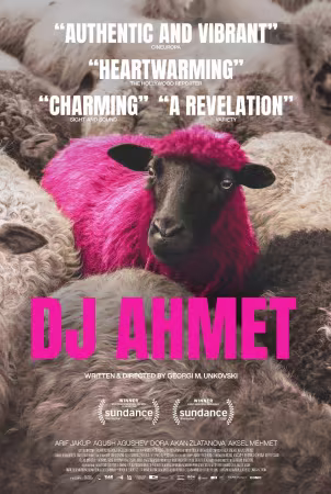 DJ Ahmet 2025 1080p AMZN WEB-DL DDP5 1 H 264-MADSKY