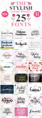 The Stylish Script Bundle - 25 Premium Fonts