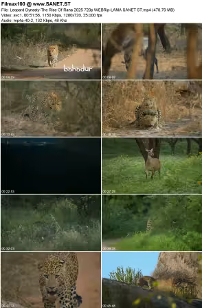 Leopard Dynasty-The Rise Of Rana 2025 720p WEBRip-LAMA