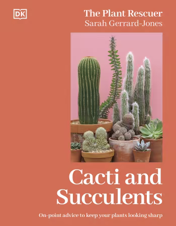 Cacti and Succulents: The Plant Rescuer's On-point Advice to Keep Your Plants Looking Sharp