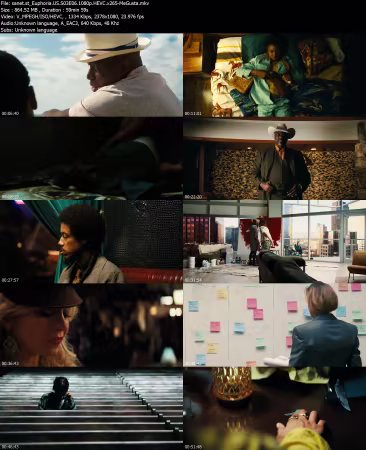 Euphoria US S03E06 1080p HEVC x265-MeGusta
