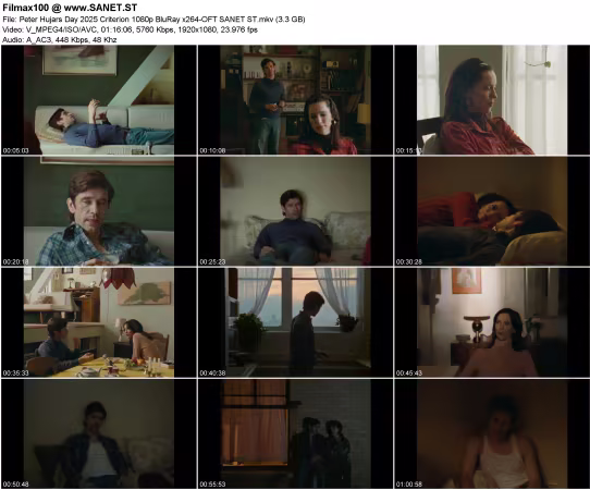 Peter Hujars Day 2025 Criterion 1080p BluRay x264-OFT