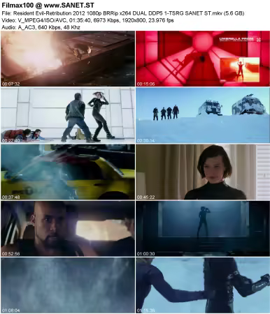 Resident Evil-Retribution 2012 1080p BRRip x264 DUAL DDP5 1-TSRG