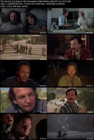 City Slickers 1991 Remastered 1080p BluRay x264-OFT