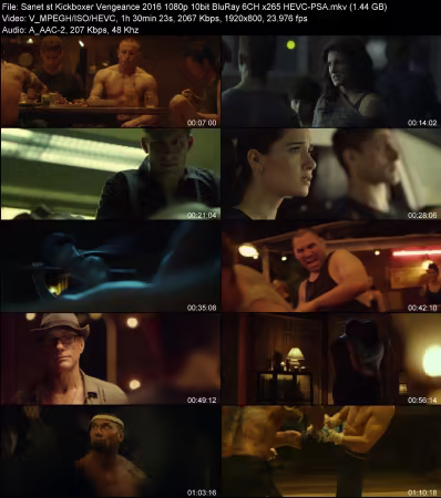 Kickboxer Vengeance 2016 1080p 10bit BluRay 6CH x265 HEVC-PSA