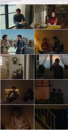 Peter Hujars Day 2025 1080p BluRay x264-Replica