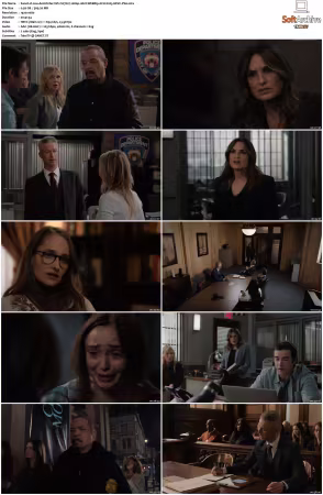 Law and Order SVU S27 1080p 10bit WEBRip 6CH x265 HEVC-PSA