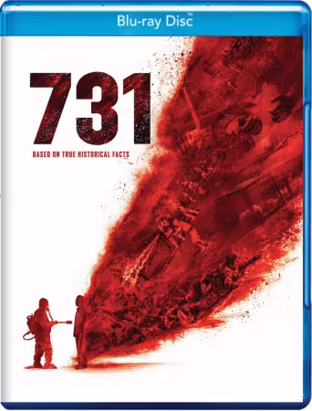 731 2025 1080p BluRay x265 10bit-WiKi