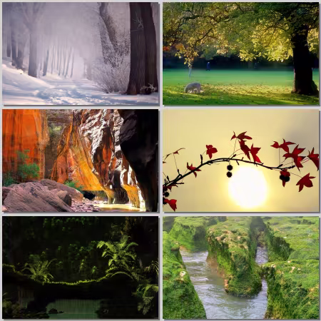 Nature Wallpaper Part 557