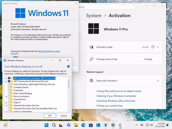 Windows 11 Pro 25H2 Build 26200.8655 (No TPM Required) With Office 2024 Pro Plus Multilingual Preactivated June 2026
