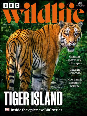 BBC Wildlife Magazine - June 2026