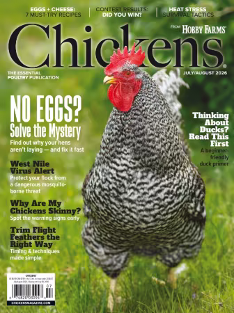 Chickens - July August 2026