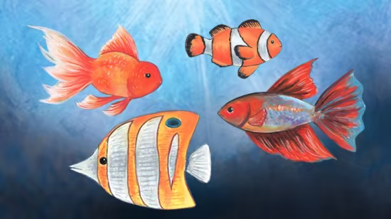 Drawing Vibrant Fish with Oil Pastels &amp; Acrylic Markers